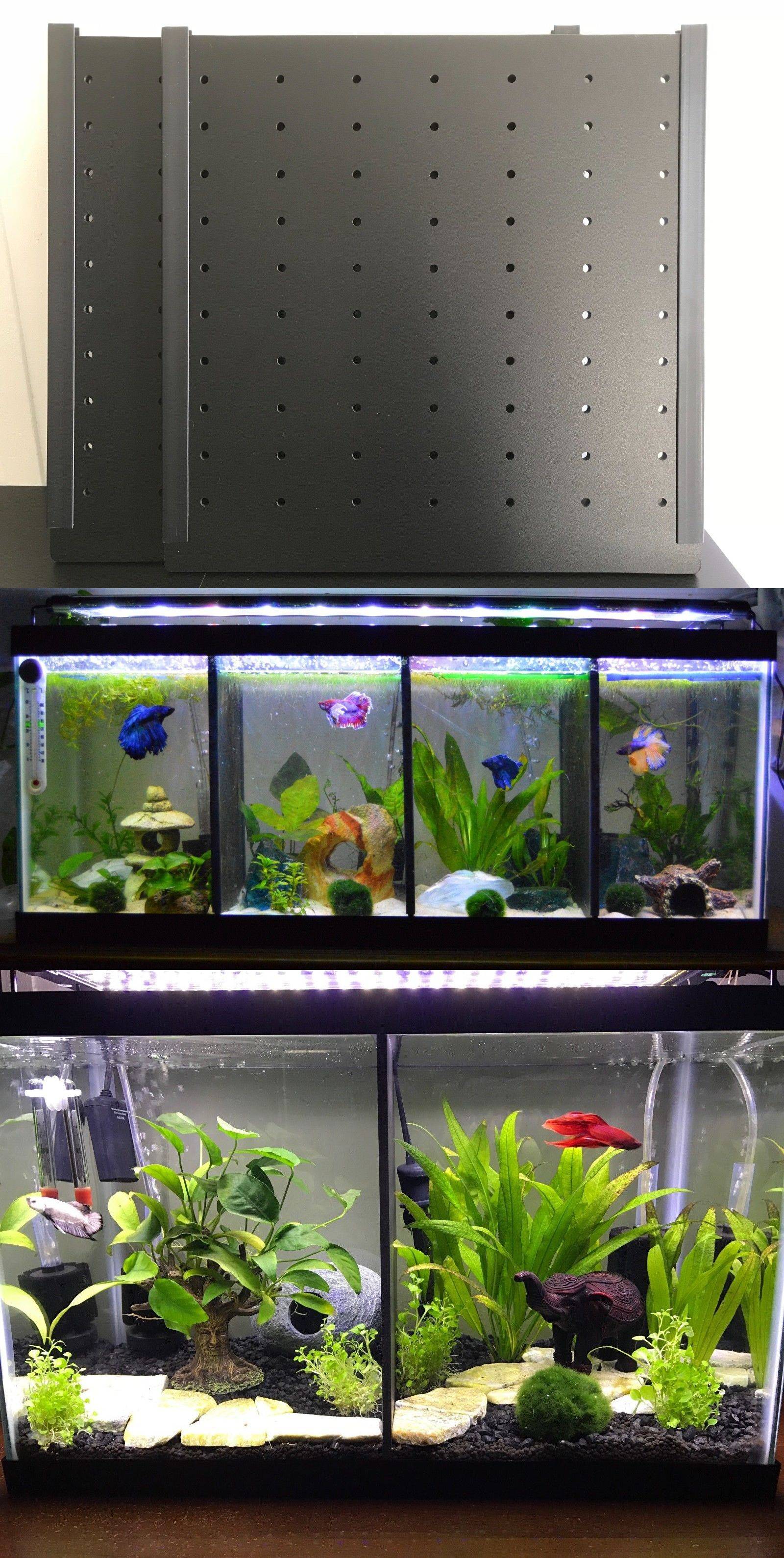 modern fish tank with accessories